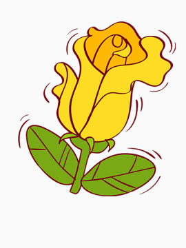 美丽的小黄花