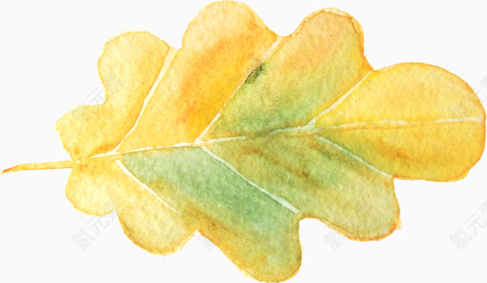水彩画叶子