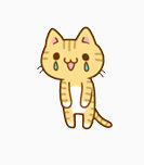 各种表情的猫