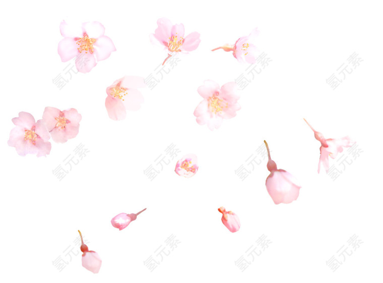 漂浮粉色樱花