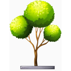 枝繁叶茂的大树