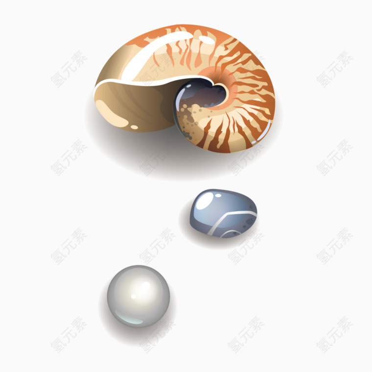 矢量海螺珍珠