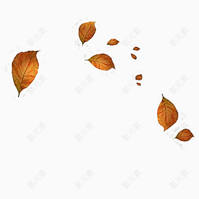 风景景物