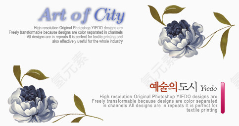 彩绘花卉高清图