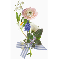 粉色月季花装饰植物