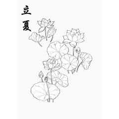 立夏节气荷花素材矢量