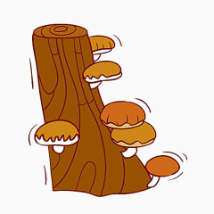 长在树上的蘑菇