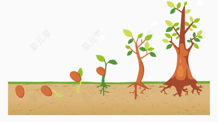 可爱植物生长矢量图