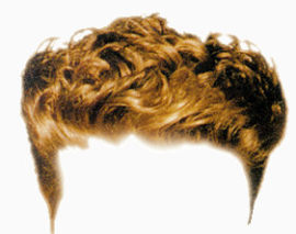 头发   假发   发型