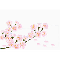 漫版粉白相间梨花