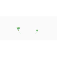 绿色清新小莲藕