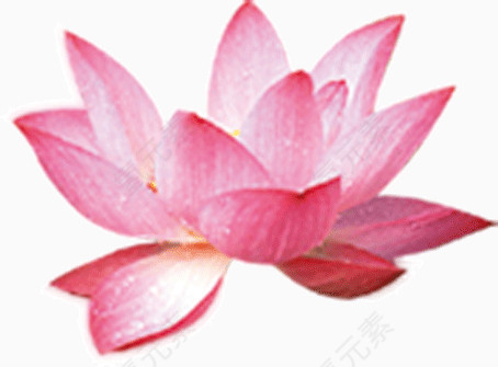 装饰     个人简历       素材