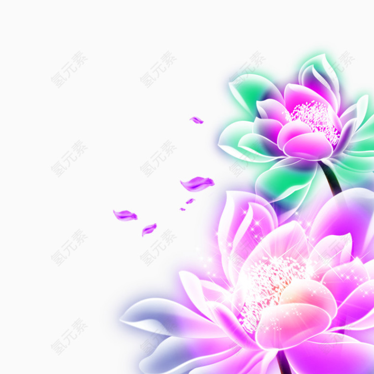 发光荷花