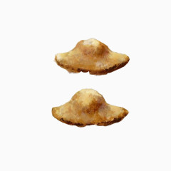 草帽饼手绘画素材图片