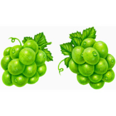 手绘绿色水晶葡萄