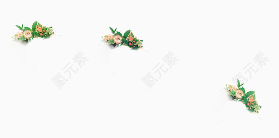 花朵图片