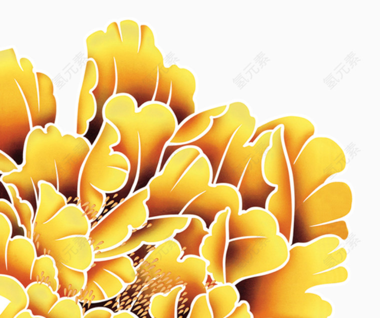 吉祥小黄花