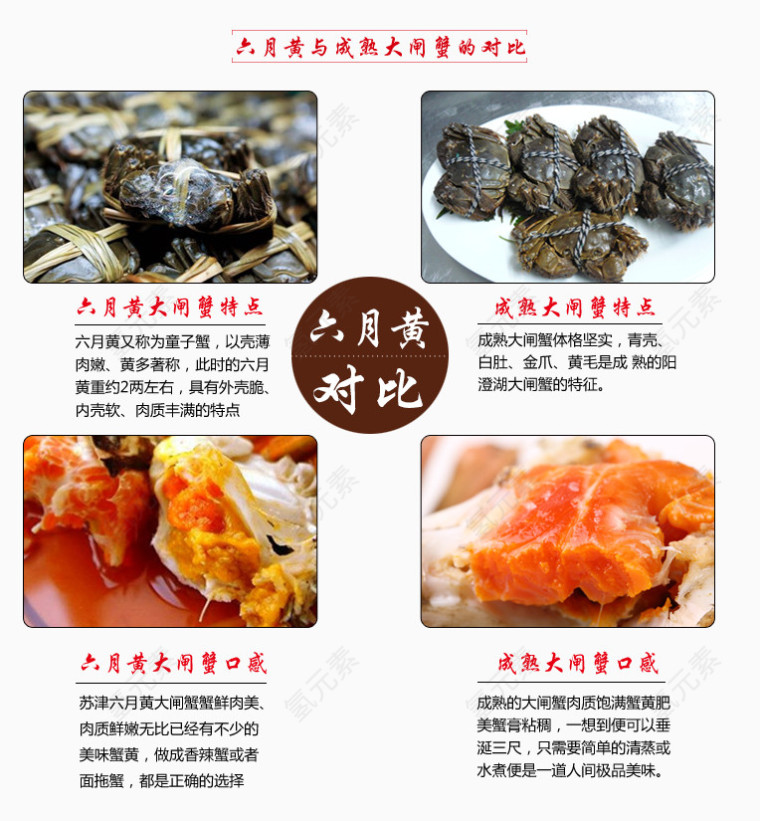 六月黄螃蟹对比