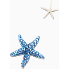 蓝色钻石海星