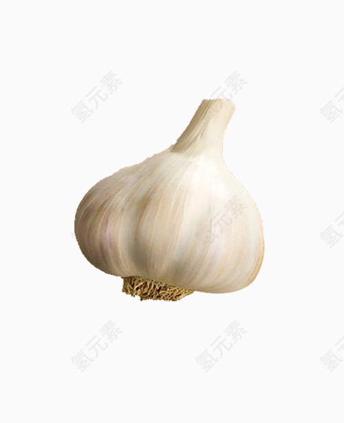 有机蔬菜大蒜