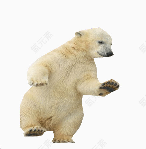 舞蹈熊