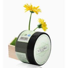 绿豆面膜小黄花