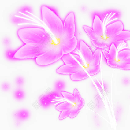 花瓣