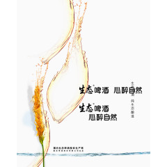 啤酒元素