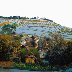 漂亮的元阳梯田