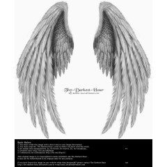 翅膀 天使的翅膀 实物