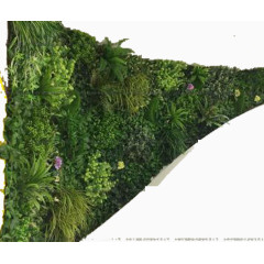 美观植物墙