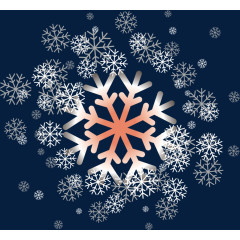 漂亮雪花矢量初雪素材