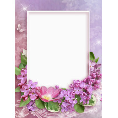 紫色薰衣草相框