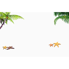 椰子树和海星