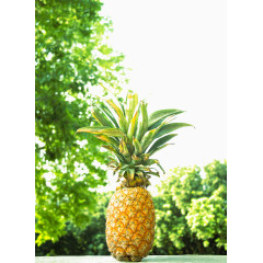 放在室外的菠萝