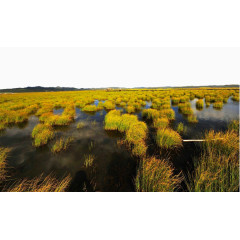 甘南迭部花湖景点