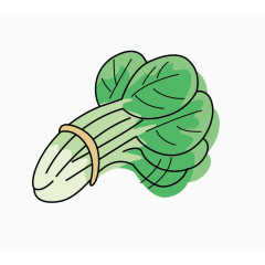 矢量小白菜叶子
