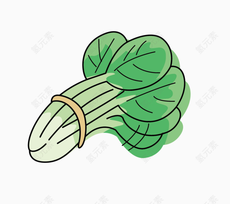 矢量小白菜叶子