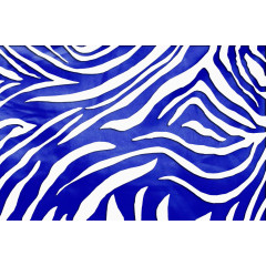 不规则横纹素材