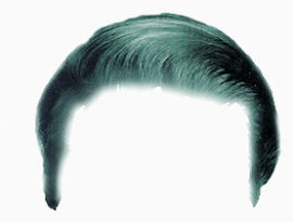 头发   假发   发型