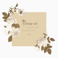古朴白色牡丹背景矢量素材