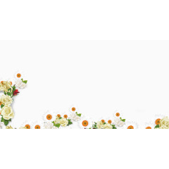 白色花朵海报背景图片