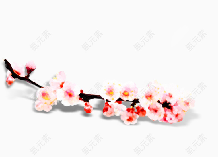 单枝写实梅花