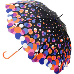 斑点雨伞