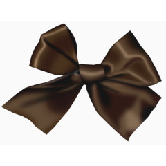 褐色蝴蝶结