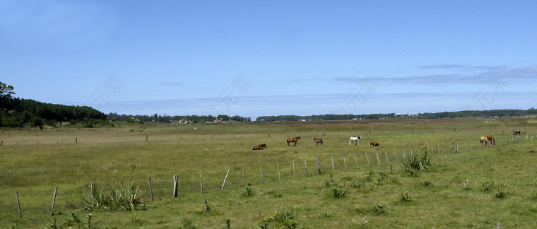 美丽的内蒙古草原