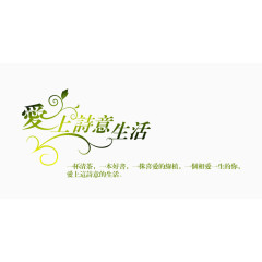 婚纱相册写真排版艺术字体