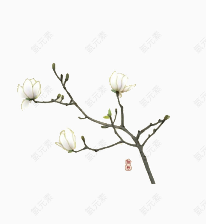 古风玉兰花白典雅