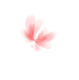 粉色的花
