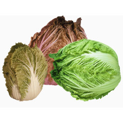 厨房素材大白菜